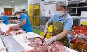 Dự báo nhập khẩu thịt và các sản phẩm thịt sẽ không tăng đột biến
