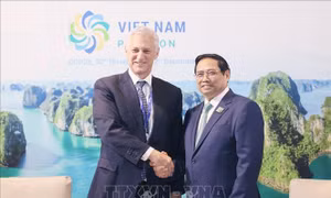 Thủ tướng Chính phủ Phạm Minh Chính gặp lãnh đạo các nước và các tổ chức quốc tế