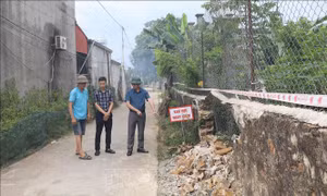Ninh Bình khảo sát, tìm nguyên nhân hiện tượng sụt lún tại khu dân cư Sào Lâm