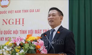 Phó Thủ tướng Hồ Đức Phớc tiếp xúc cử tri tại Gia Lai