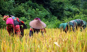 Thắt chặt tình quân dân nơi biên giới Mường Tè, Lai Châu