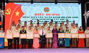 Ninh Bình biểu dương 141 nông dân sản xuất, kinh doanh giỏi