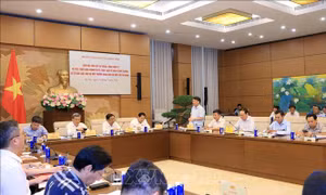 Chủ động rà soát, hoàn thiện hệ thống quản lý về bảo vệ môi trường