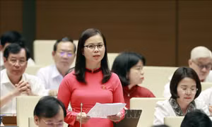 Cần có giải pháp đột phá và cơ chế đặc thù thực hiện 3 Chương trình mục tiêu quốc gia