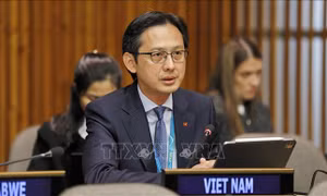Việt Nam cam kết thúc đẩy bình đẳng giới tại Hội đồng Chấp hành UN Women