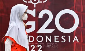 G20 cam kết tăng cường năng lực về kiến trúc y tế toàn cầu