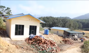 Giúp người dân vùng lũ Mường Pồn sớm an cư để lạc nghiệp