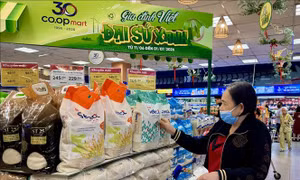 Bán lẻ và dịch vụ 6 tháng tăng gần 13%, tiêu dùng tiếp tục là động lực tăng trưởng
