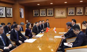 Phát huy vai trò của hai đảng cầm quyền trong thúc đẩy quan hệ Việt Nam - Nhật Bản