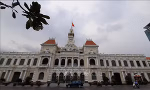 TP Hồ Chí Minh: Sẽ mở rộng thí điểm thi tuyển chức danh lãnh đạo cấp phòng, cấp sở