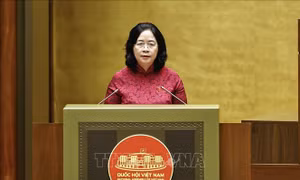 98,6% kiến nghị của cử tri được giải quyết