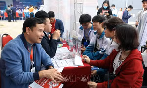 Tư vấn tuyển sinh - hướng nghiệp cho học sinh Trung học Phổ thông