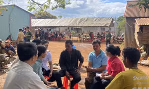 Gia Lai: Thêm một trường hợp tử vong do ăn cóc