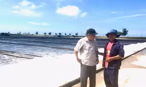 Phan Rang, một miền ký ức