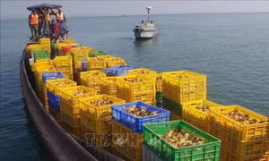 Quảng Ninh bắt giữ nhiều hàng nhập lậu