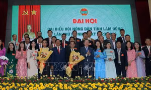 Lâm Đồng: Phát huy vai trò của nông dân trong phát triển nông thôn