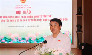 Tham vấn chính sách phát triển kinh tế tập thể đối với đồng bào dân tộc thiểu số
