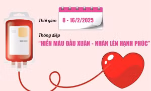 Số lượng đơn vị máu tiếp nhận được qua các Lễ hội Xuân hồng