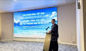 Thúc đẩy kết nối đầu tư và du lịch giữa Việt Nam và Nga