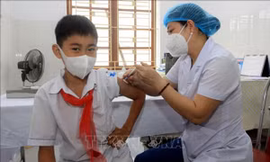 Tăng cường triển khai tiêm vaccine phòng COVID-19 cho trẻ 