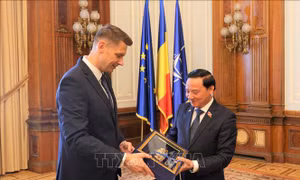 Thúc đẩy quan hệ hữu nghị truyền thống và hợp tác tốt đẹp giữa Việt Nam và Romania