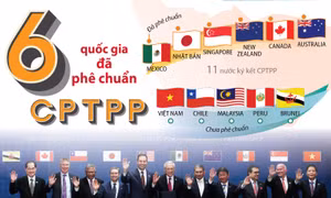 CPTPP đã được 6 quốc gia phê chuẩn