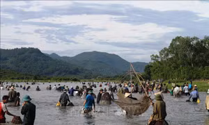 Độc đáo lễ hội đánh cá Đồng Hoa​