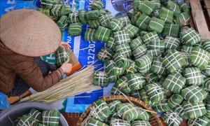 Bức tranh Tết ở làng bánh chưng Tranh Khúc