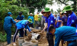 Hành trình Chiến dịch Thanh niên tình nguyện hè trên đất Sen hồng