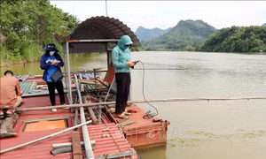 Quy hoạch, quan trắc môi trường quốc gia đồng bộ, hiện đại