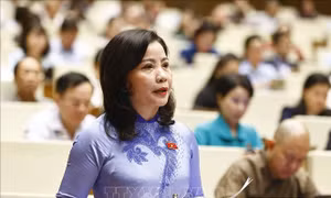 Kỳ họp thứ 9, Quốc hội khoá XV: Cân nhắc bỏ hình phạt tử hình với tội vận chuyển trái phép chất ma tuý