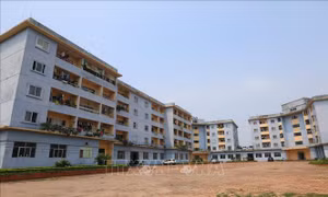 Diện tích nhà ở bình quân cả nước đạt 25 m2/người