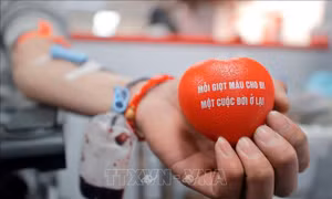 Lễ hội Xuân hồng 2026: Biến yêu thương thành sức mạnh
