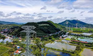 Phấn đấu hoàn thành đường dây 500 kV mạch 3 dịp kỷ niệm Cách mạng tháng Tám và Quốc khánh 2/9