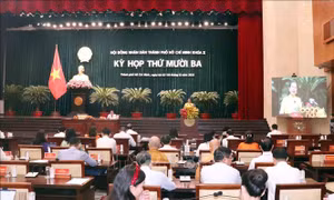 HĐND Thành phố Hồ Chí Minh thông qua nhiều chính sách mới về giáo dục