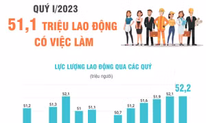 Quý I/2023: 51,1 triệu lao động có việc làm
