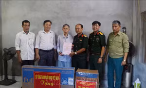 Những ngôi nhà ấm áp nghĩa tình