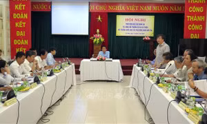 Phản biện dự án cải thiện môi trường nước phía Đông quận Sơn Trà