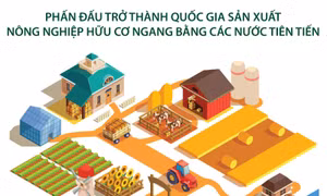 Phấn đấu trở thành quốc gia sản xuất nông nghiệp hữu cơ ngang bằng các nước tiên tiến