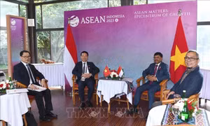Việt Nam và Indonesia tăng cường hợp tác về thông tin và truyền thông