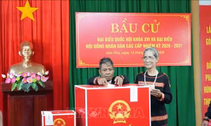 Không khí dân chủ lan tỏa, các địa phương thực hiện kiểm phiếu theo quy định