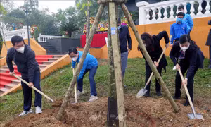 Phát động thi đua chào mừng Đại hội Đoàn các cấp và Tết trồng cây Xuân Nhâm Dần 2022