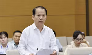 Tập trung hoàn thiện các quy định trong dự thảo Luật Hòa giải ở cơ sở (sửa đổi)​