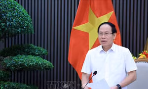 Rà soát tổng thể kết quả Kỳ thi tốt nghiệp THPT năm 2026 của các địa phương trên cả nước