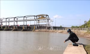 Xây dựng kịch bản ứng phó xâm nhập mặn mùa khô 2026-2027