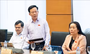 Kỳ họp thứ 9, Quốc hội khóa XV: Nhiều đại biểu đồng tình giảm thuế VAT với tất cả hàng hóa