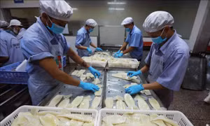 Phó Thống đốc nêu hàng loạt giải pháp ‘chống ế tiền’