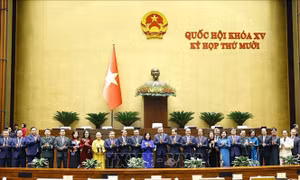 Phiên bế mạc Kỳ họp thứ 10, Quốc hội khóa XV