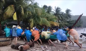 Quỹ Phòng, chống thiên tai các địa phương còn 2.263 tỷ đồng