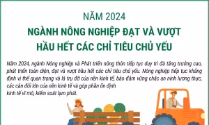Năm 2024, ngành nông nghiệp đạt và vượt hầu hết các chỉ tiêu chủ yếu